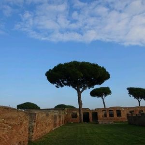 Meet your Posher, Troy